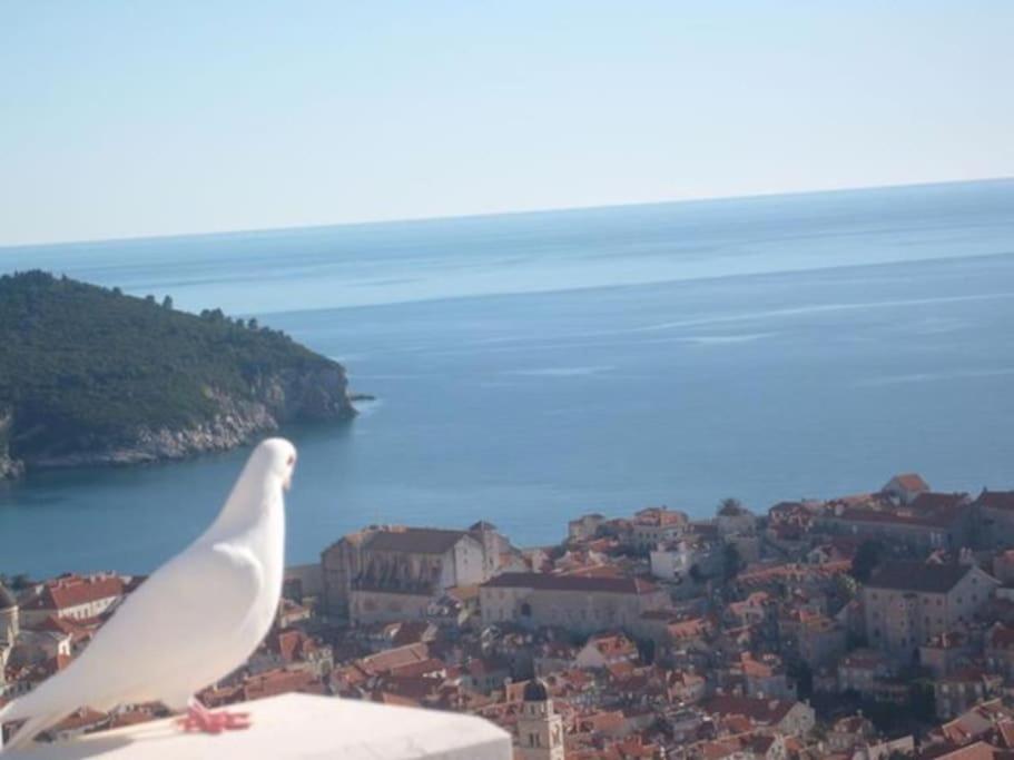 Romantic Ap,With Amazing View Dubrovnik Exterior foto